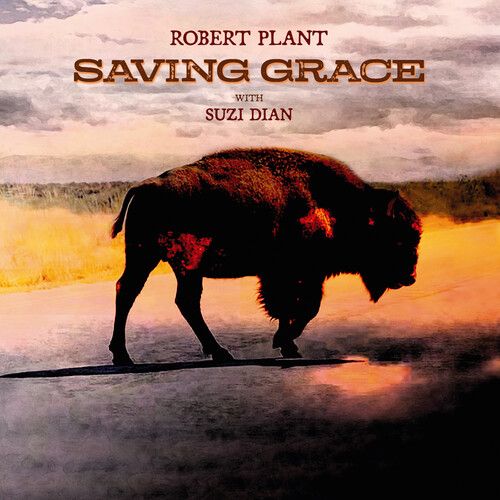 Audio Cd Robert Plant - Saving Grace