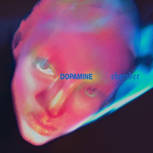 Vinile Fontaines D.C. - Dopamine Chamber