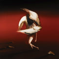 Vinile Maruja - Pain To Power