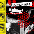 Vinile Foo Fighters - Your Favorite Toy