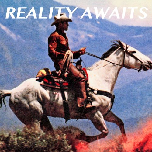 Vinile Strokes (The) - Reality Awaits