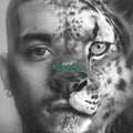 Vinile Zayn - Konnakol