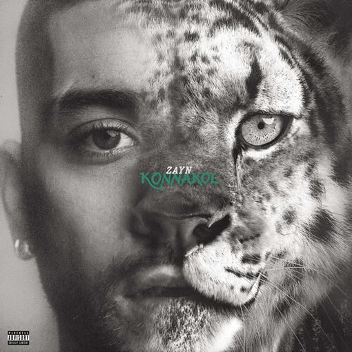 Audio Cd Zayn - Konnakol