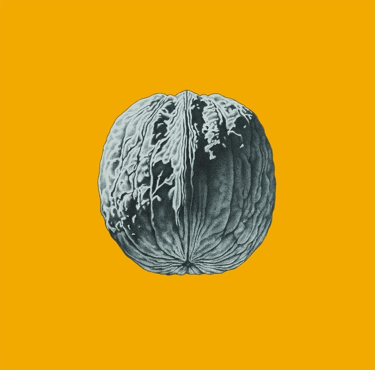 Vinile Brunori Sas - L'Albero Delle Noci (Blue Vinyl)