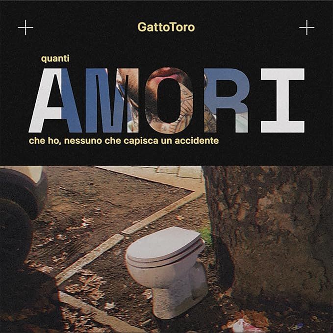 Vinile Gattotoro - Quanti Amori Che Ho, Nessuno Che Capisca Un Accidente
