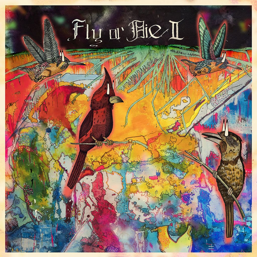 Vinile Jaimie Branch - Fly Or Die Ii