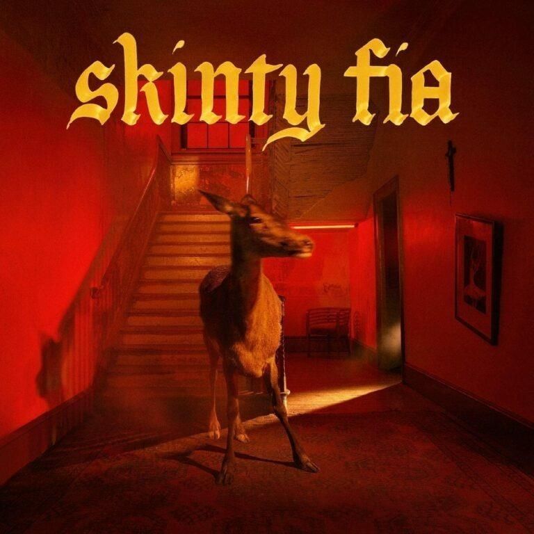 Vinile Fontaines D.C. - Skinty Fia