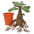 Merchandising Harry Potter: Noble Collection - Mandrake (Electronic Plush / Peluche Elettronico)
