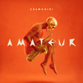 Audio Cd Cesare Cremonini - Amateur