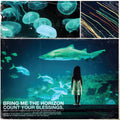 Vinile Bring Me The Horizon - Count Your Blessings