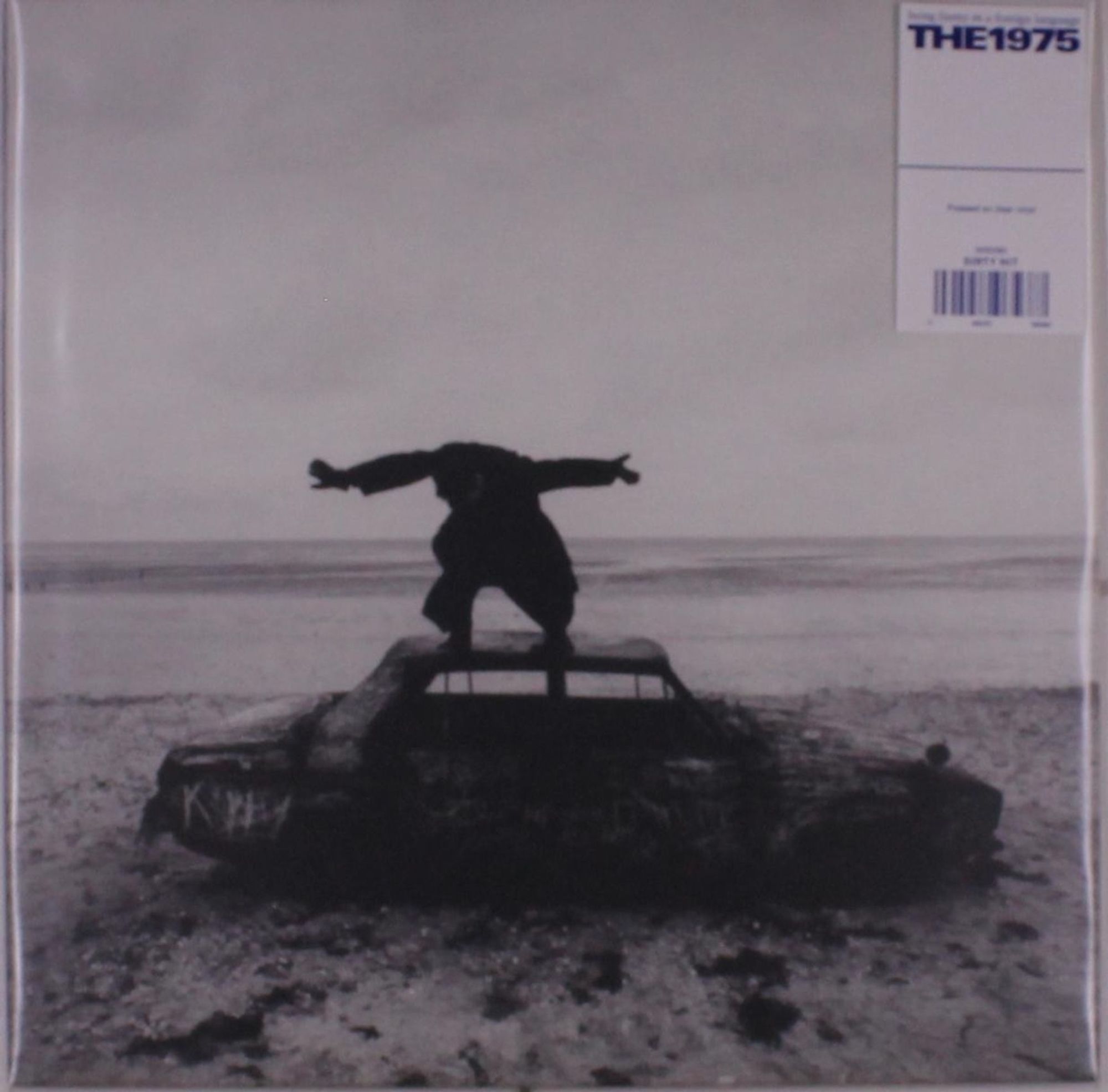 Vinile 1975 (The) - Being Funny In A Foreign Language